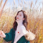 金庸群侠传2无敌版